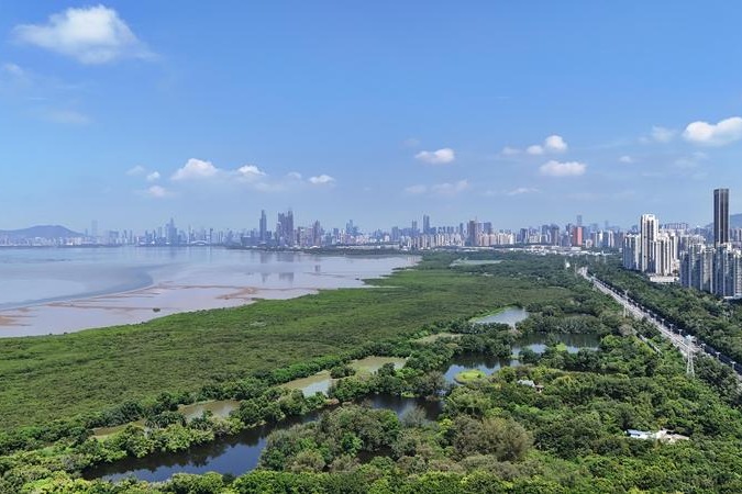 China's landmark Ecological and Environmental Code takes effect to drive green modernization
