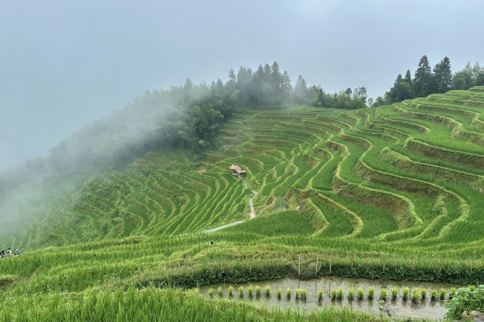 Misty rice terraces of Hunan prove popular with visitors