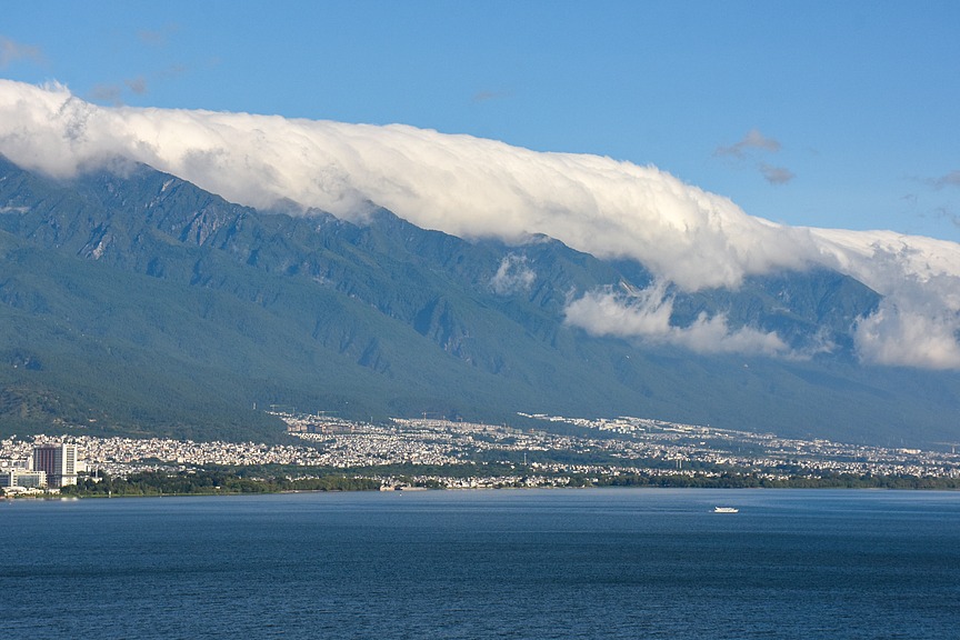 Uncovering a soaring scale of biodiversity