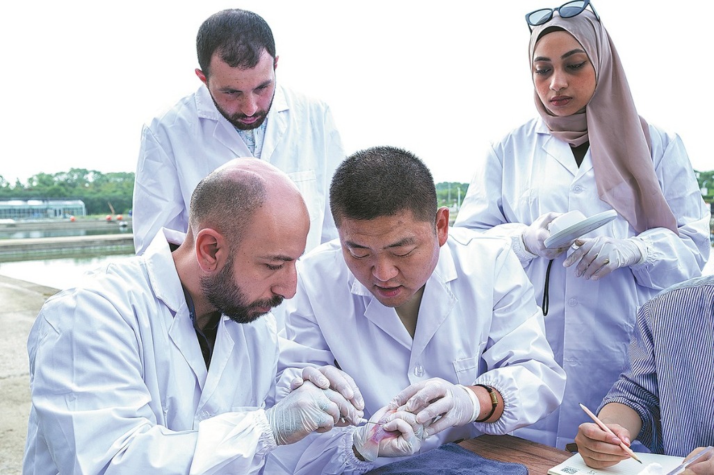 Research partnership boosts Egypt's aquaculture, food security