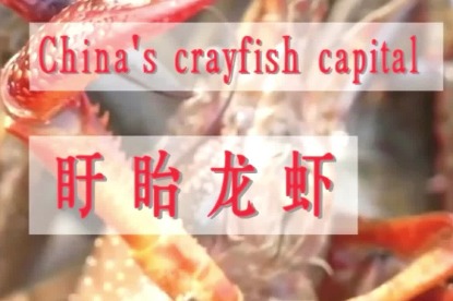 Explore Xuyi, China's crayfish capital