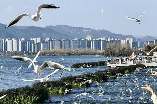 China pledges to advance biodiversity protection