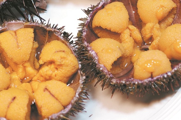 Taste of the sea spikes interest, sparks innovation