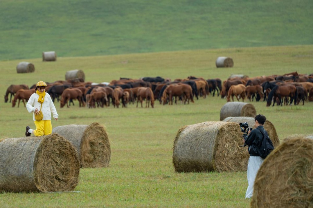 Hulunbuir launches autumn peak season as forests turn gold and crimson