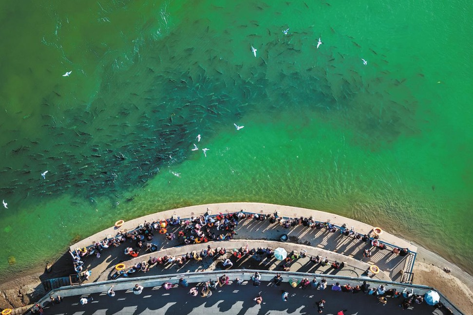 China's fishing ban experience commended