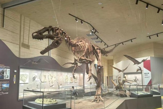 World's first museum devoted to prehistoric flying reptiles opens in NW China's Xinjiang