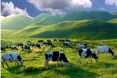 Chengbu Nanshan: A meadow escape above the clouds