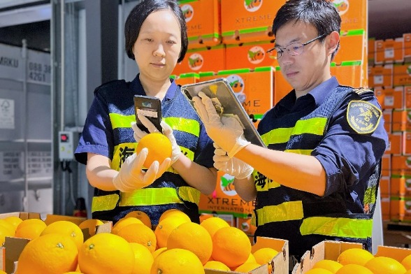 Zero-tariff policy for African goods sees fruitful returns