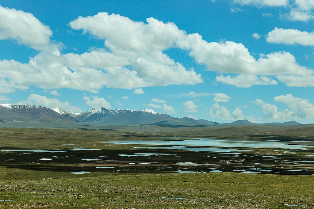 China's national parks boost ecosystems and wildlife