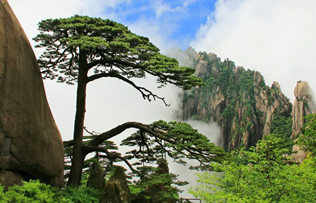 2.5-hour routes to Mount Huangshan's iconic sights