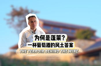 Penglai's terroir and the art of winemaking
