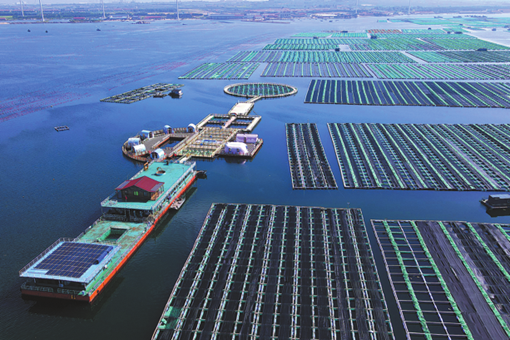 Weihai's three second acts