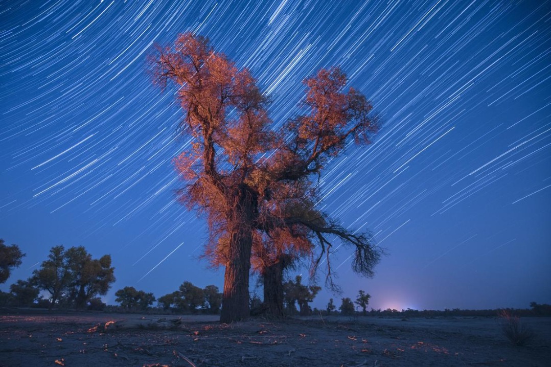 Photographer captures golden poplars beneath starry sky in Xinjiang